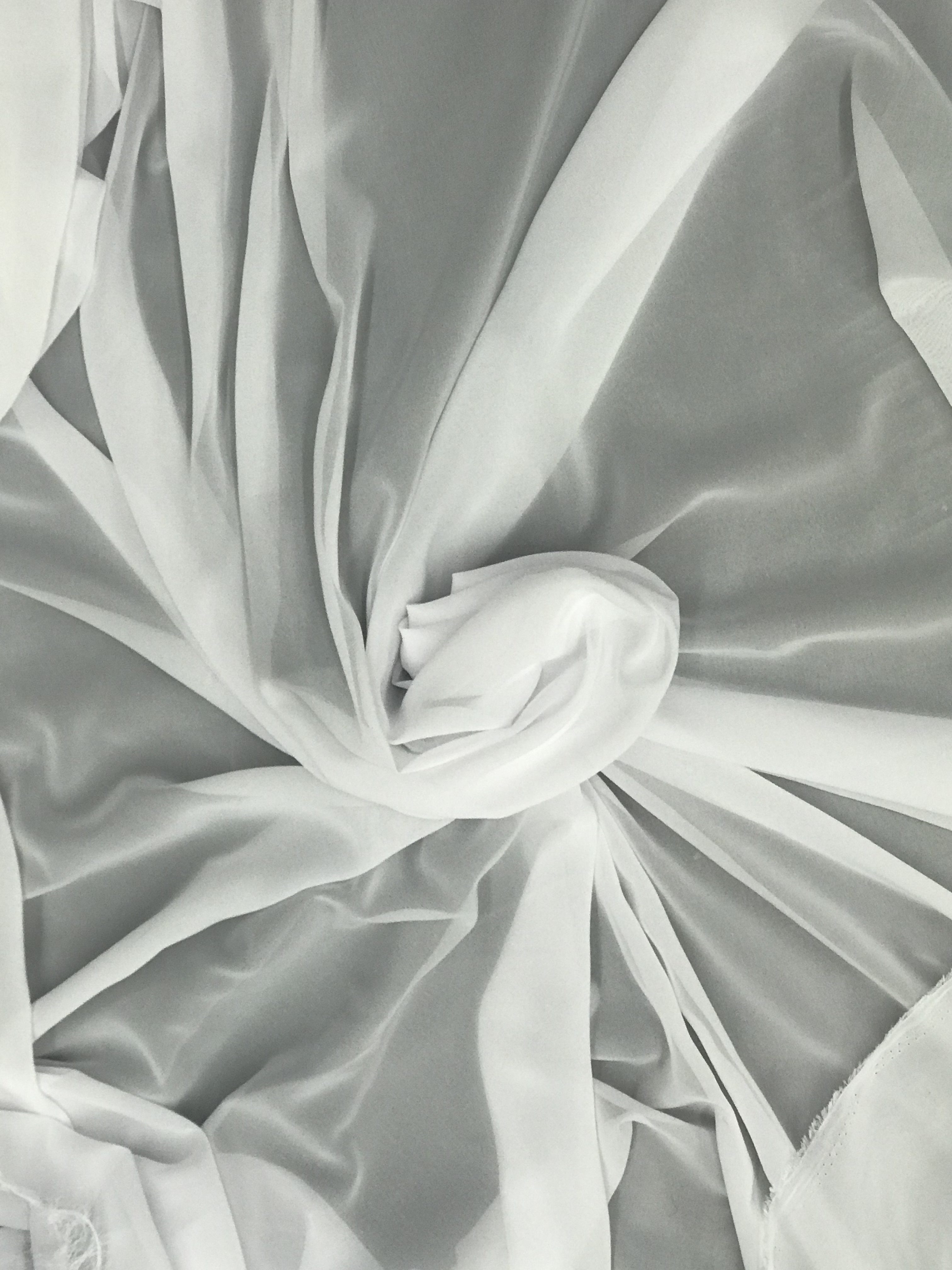 White Chiffon – Sal Tex Fabrics, Inc.